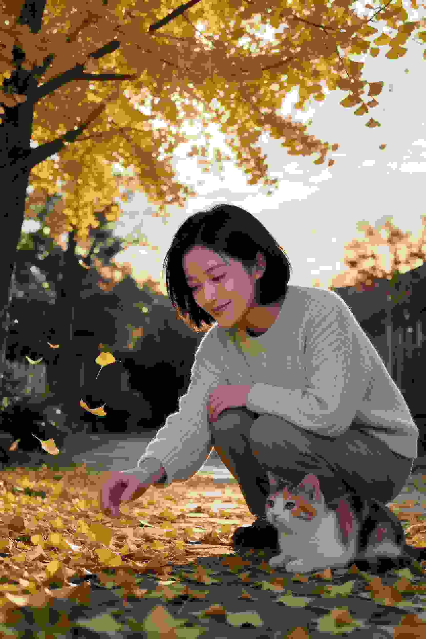 精彩剪辑